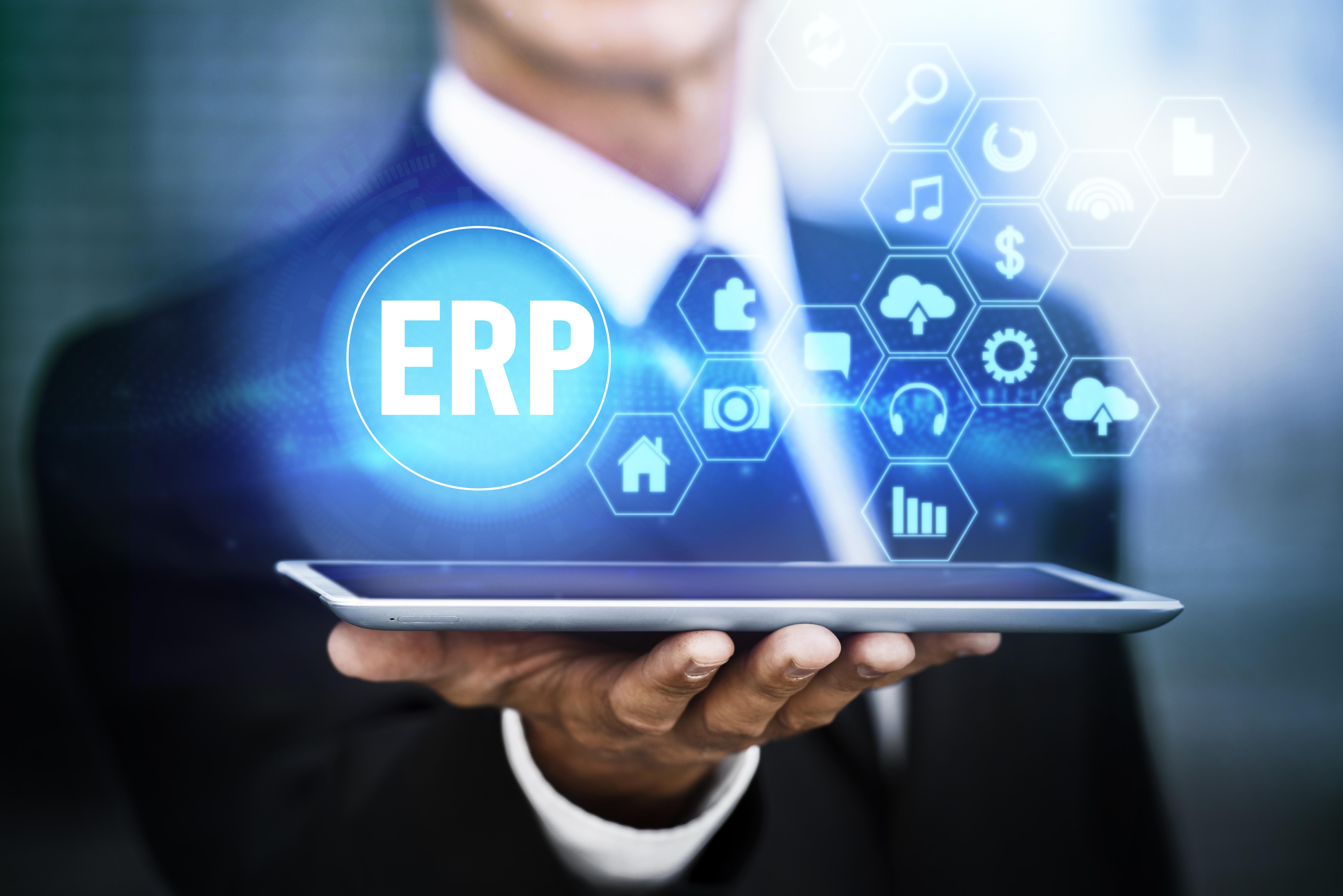 Team working on ERP setup and migration